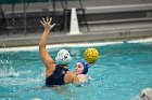WWPolo vs CC  Wheaton College Women’s Water Polo compete in their sports inaugural match vs Connecticut College. - Photo By: KEITH NORDSTROM : Wheaton, water polo, inaugural